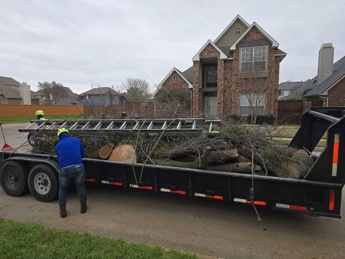 Expert Lot Clearing with proper safety equipment in Ariel